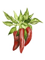 Watercolor Veggie II Fine Art Print