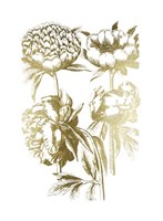 Gold Foil Floral Chintz II Fine Art Print