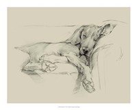 Dog Days I Fine Art Print
