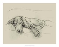Dog Days II Fine Art Print