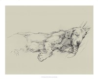 Dog Days III Fine Art Print