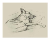 Dog Days IV Fine Art Print