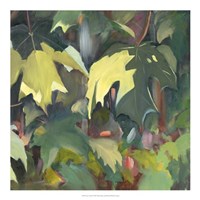 Leaf Array II Fine Art Print