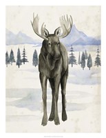 Alaskan Wilderness I Framed Print