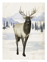 Alaskan Wilderness II Framed Print