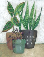 House Garden I Framed Print