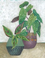 House Garden II Framed Print