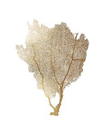 Gold Foil Sea Fan I Framed Print