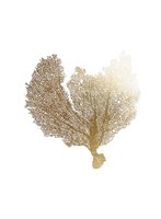 Gold Foil Sea Fan III Framed Print