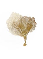Gold Foil Sea Fan IV Framed Print