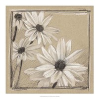 White Floral Study II Framed Print