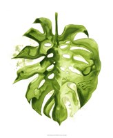 Monstera II Fine Art Print