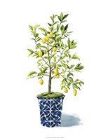 Fruit Tree II Fine Art Print