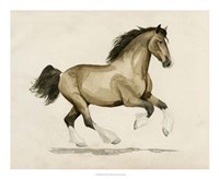 Clydesdale I Fine Art Print