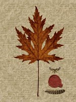 Autumn Leaf I Fine Art Print