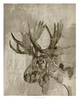 Sepia Moose Framed Print