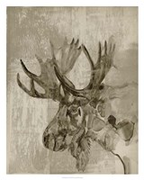 Sepia Moose Fine Art Print