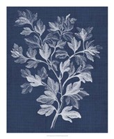 Foliage Chintz I Framed Print