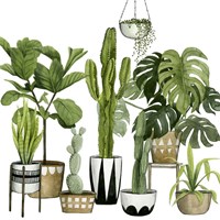Plant Haven I Fine Art Print