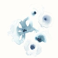 Protea Blue IV Fine Art Print