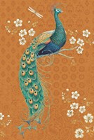 Ornate Peacock IX Spice Framed Print