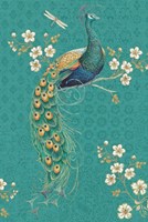 Ornate Peacock IXD Framed Print
