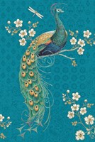 Ornate Peacock IXE Fine Art Print