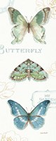 My Greenhouse Butterflies VI Framed Print