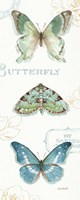 My Greenhouse Butterflies VI Fine Art Print