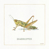 My Greenhouse Grasshopper Framed Print