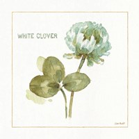 My Greenhouse Clover Fine Art Print