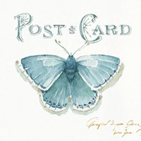 My Greenhouse Butterflies I Fine Art Print