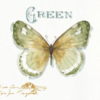 My Greenhouse Butterflies IV Fine Art Print