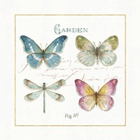 Rainbow Seeds Butterflies IV Fine Art Print