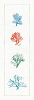 Water Coral VII Fine Art Print