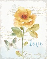 Rainbow Seeds Floral VIII Love Framed Print