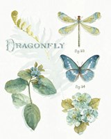 My Greenhouse Botanical II Framed Print