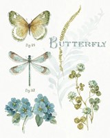 My Greenhouse Botanical I Framed Print