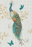 Ornate Peacock IXA Fine Art Print