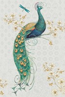 Ornate Peacock IXA Fine Art Print