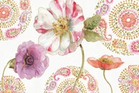 Rainbow Seeds Paisley III Fine Art Print