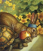 Tortoise And Hare Fine Art Print