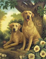 Yellow Labs Fine Art Print
