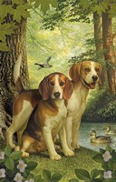 Beagles And Duck Fine Art Print