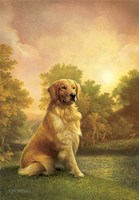 Darkest Evening Fine Art Print