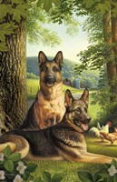 German Shepards/Chicken Fine Art Print