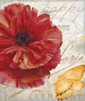 Red Poppy Fine Art Print