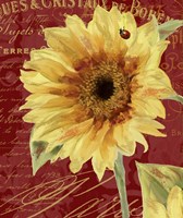 Ete Lady Bug Fine Art Print