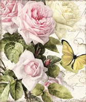 Flora Bella Fine Art Print