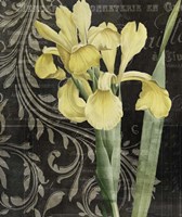 Ode To Yellow Fine Art Print